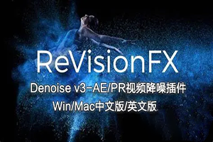 AE/PR 插件REVisionFX慢动作降噪去闪动态模糊插件